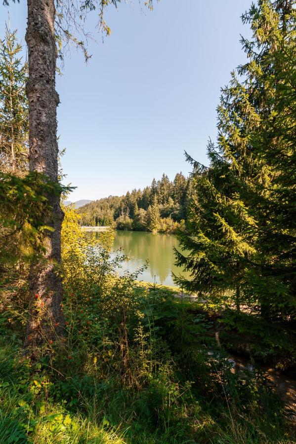 Vila Viktoria - Apartman Viktoria 2 Rużomberk Zewnętrze zdjęcie